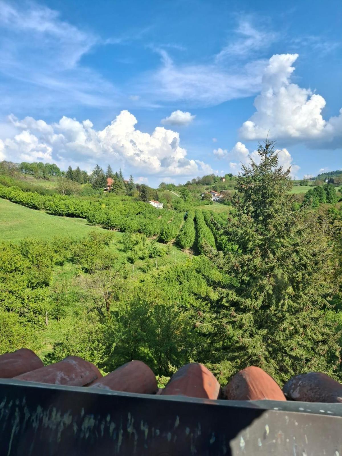Apartament Cascina Bringin Mondovì Zewnętrze zdjęcie